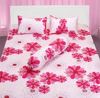 1 Bộ Drap Cotton Thắng Lợi hàng đạt tiêu chuẩn