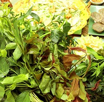 2 Nhận cung cấp Giò bê cuốn rau rừng cho cá nhân   nhà hàng   Quán ăn giá sỉ