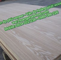 Plywood   Ván ép chịu ẩm   Ván ép giá rẻ