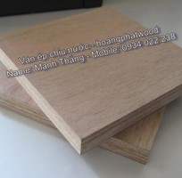 7 Plywood   Ván ép chịu ẩm   Ván ép giá rẻ