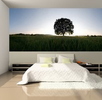 1 Mang cả thiên nhiên vào nhà với tranh dán tường phong cảnh