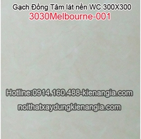 3 Gạch lát nền Đồng Tâm, chiết khấu cao