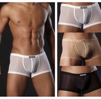 8 Hà nội   Underwear dành cho nam giới