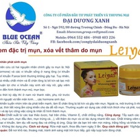 8 Công ty Đại Dương Xanh chuyên bán buôn, phân phối hàng mỹ phẩm cao cấp Leiyas