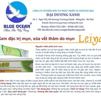 9 Công ty Đại Dương Xanh chuyên bán buôn, phân phối hàng mỹ phẩm cao cấp Leiyas