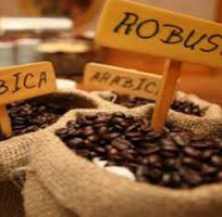 2 Bán cà phê bột và hạt giá rẻ chỉ 65.000 chất lượng cao
