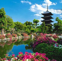 3 Chương trình tour Tokyo Ueno Park Osaka Seoul  Everland 8 Ngày