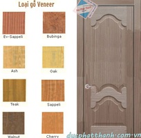 2 Cửa mdf phủ veneer