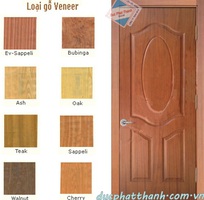 4 Cửa mdf phủ veneer