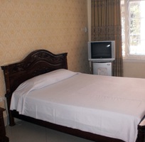 3 Camellia Hotel 6 giá rẻ