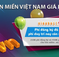 Tên miền giá rẻ nhất Việt Nam với Vinahost