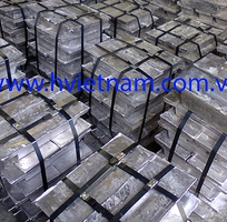 Chì cục nguyên chất 99.95