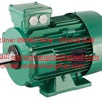 5 Motor teco chính hãng, bơm teco, động cơ teco, máy bơm nước teco, motor giảm tốc teco, motor VS teco