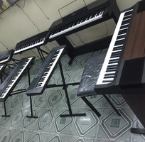 Chuyên cung cấp đàn organ, piano