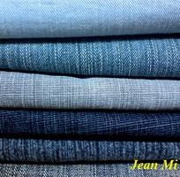 1 Mi Lan chuyên cung cấp vải Jean các loại, Catalogue Jean