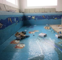 Cung cấp, thi công gạch mosaic bể bơi, trang trí..