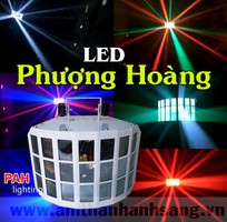 Đèn Led Phượng Hoàng Lửa