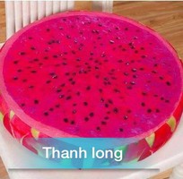 6 Bán gối tựa lưng 3D hình trái cây wiko hàng Quảng Châu cao cấp bao đẹp