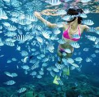Bơi Snorkeling ngắm sinh vật biển- Tour Lặn Biển Nha Trang