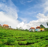Mộc Châu Arena Village