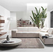 6 Sofa phòng khách, sofa góc, thiết kế sofa