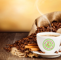 Cà phê VCE - chuyên cung cấp cà phê sạch, tìm đại lý cà phê toàn quốc