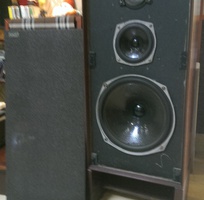 Ditton 44, dl-50 mark ii