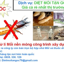 Bán hộp nhử mối và thuốc diệt mối tận gốc giá rẻ