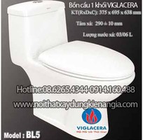 Bồn cầu Viglacera Nano nung giá tốt nhất TPHCM,mua bàn cầu lavabo Viglacera KM