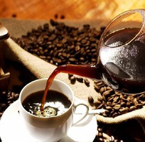 Đại lý nhà phân phối cà phê Trung nguyên