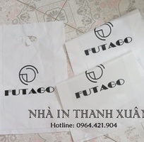 2 Nhà In Thanh Xuân chuyên in túi nilon chất lượng tốt giá rẻ