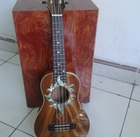 11 Ukulele rẻ nhất hcm