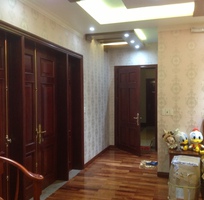 1 Giấy dán tường Hải Phòng