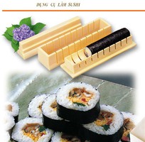 Khuôn sushi đa năng