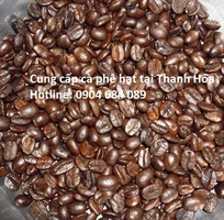 2 Cung cấp cà phê hạt tại Thanh Hóa