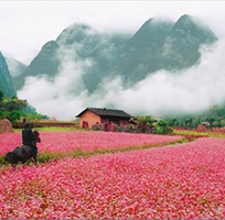 Du lịch hà giang