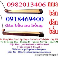 7 Đàn bầu   độc huyền cầm   giá rẻ tại Gò Vấp