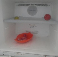 2 Tủ lạnh electrolux 260 lít