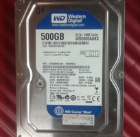 1 Ổ cứng desktop SATA/16m 500GB WD