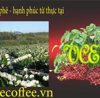 Vce coffee tìm đại lý cà phê cấp 1, hỗ trợ nhà phân phối mới, ít vốn
