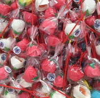 Chuyên sản xuất và bán buôn các loại kẹo que hạnh phúc