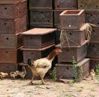 7 Cung cấp sản phẩm tiểu sành - quách sành bằng gốm Phù Lãng