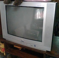 1 Bán TV tcl