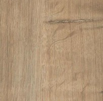 2 Sàn gỗ Alsa pan của Pháp