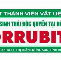 7 Tấm lợp sinh thái