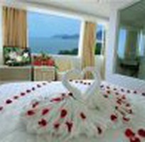 Còn phòng Tết Nha Trang 1 ,2 ,3  với Du Lịch Hải Minh