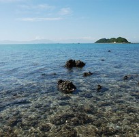 8 Tour du lịch: Khám phá Đảo Điệp Sơn - Chinh phục con đường đi bộ giữa biển