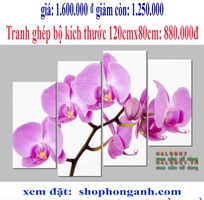 11 Giới thiệu MN những bộ tranh nghệ thuật đẹp trang trí pkhach