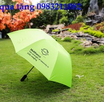 11 Đặt ô dù cầm tay,ô dù quảng cáo giá rẻ chất lượng tốt ở đâu