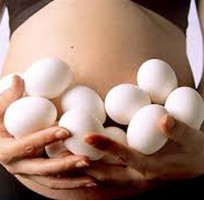7 Trứng ngỗng quê phục vụ cung cấp chất dinh dưỡng